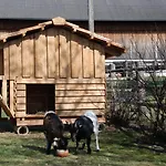 Bio-bauernhof Samerhof