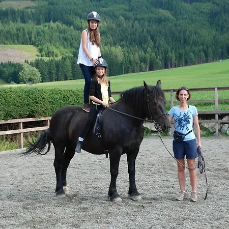 Bio-bauernhof Samerhof * Mariapfarr