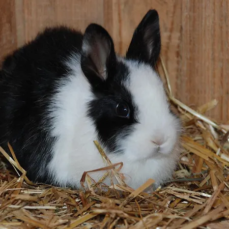 Bio-bauernhof Samerhof * マリアプファル