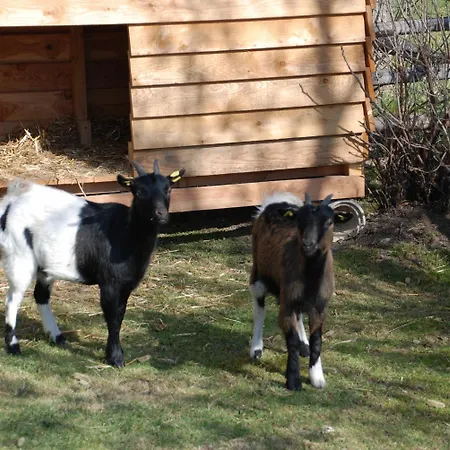 Bio-bauernhof Samerhof ファームステイ