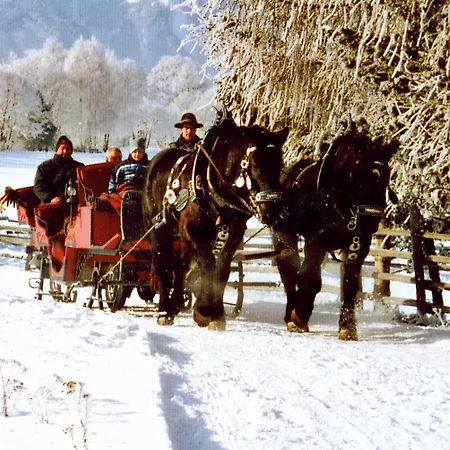 Bio-bauernhof Samerhof ファームステイ *