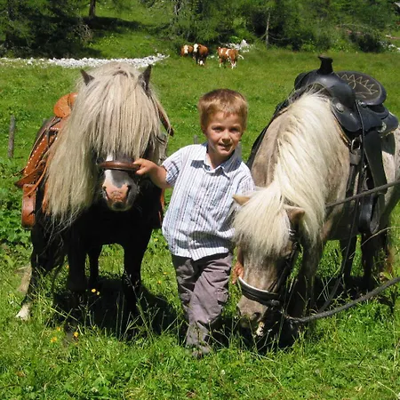 Bio-bauernhof Samerhof * Mariapfarr