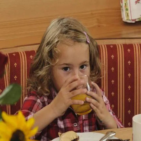 Bio-bauernhof Samerhof * Mariapfarr