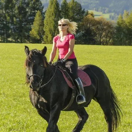 Bio-bauernhof Samerhof * Mariapfarr