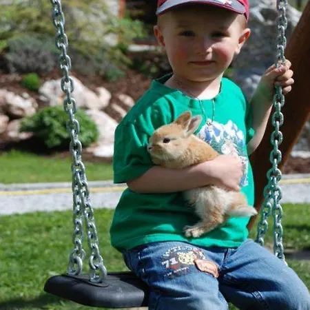 Bio-bauernhof Samerhof ファームステイ