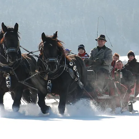Bio-bauernhof Samerhof ファームステイ *
