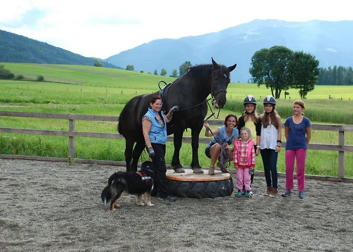 Bio-bauernhof Samerhof Alojamento de Turismo Rural Mariapfarr