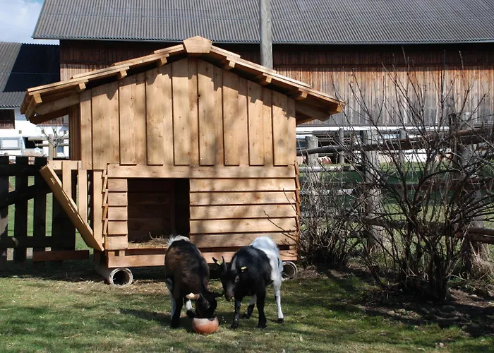 Bio-bauernhof Samerhof