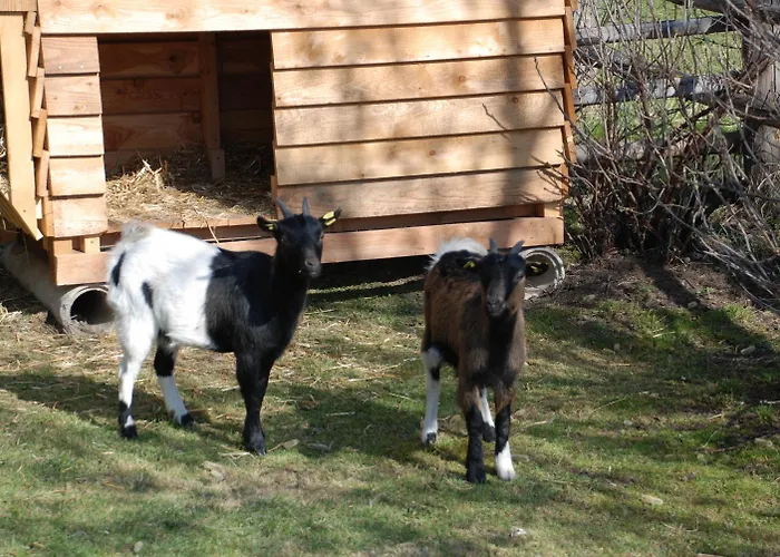Bio-bauernhof Samerhof Alojamento de Turismo Rural