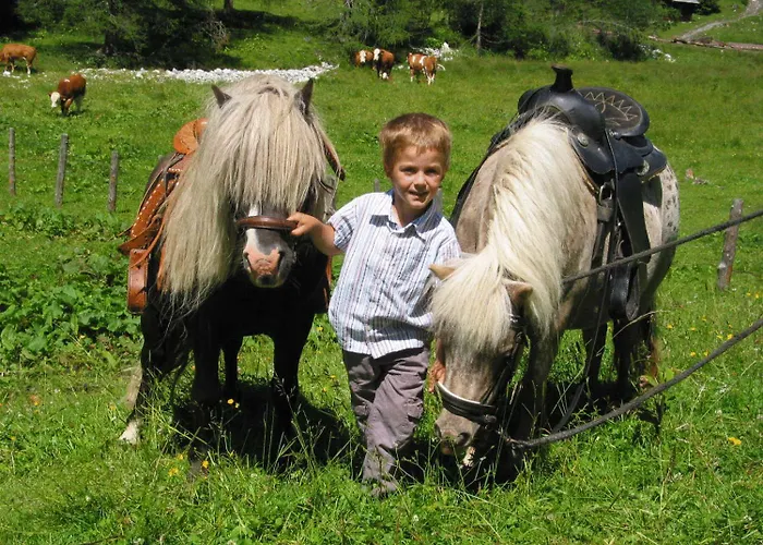 Bio-bauernhof Samerhof * Mariapfarr