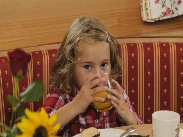 Bio-bauernhof Samerhof * Mariapfarr