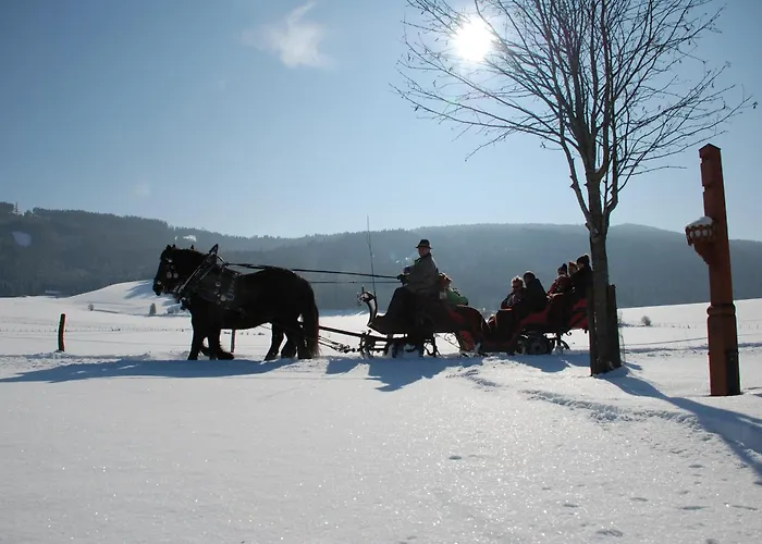 Bio-bauernhof Samerhof
