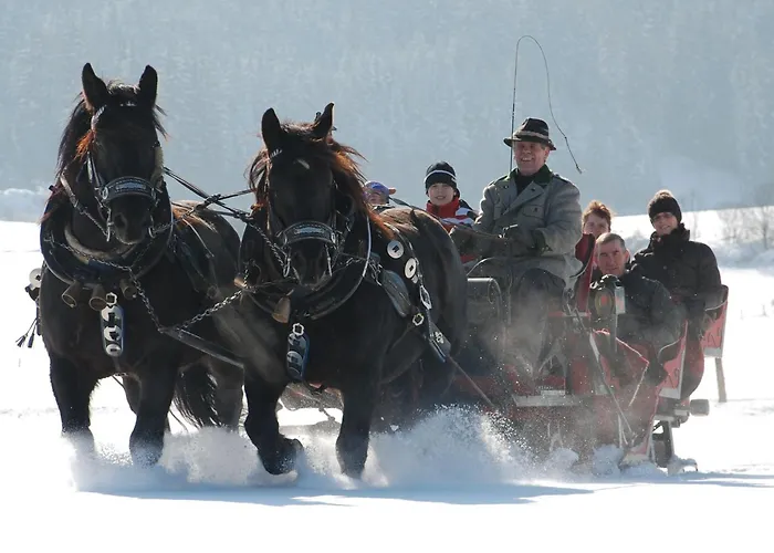 Bio-bauernhof Samerhof Alojamento de Turismo Rural *