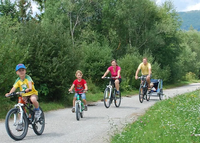 Bio-bauernhof Samerhof Alojamento de Turismo Rural Mariapfarr